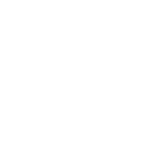 checkmark icon